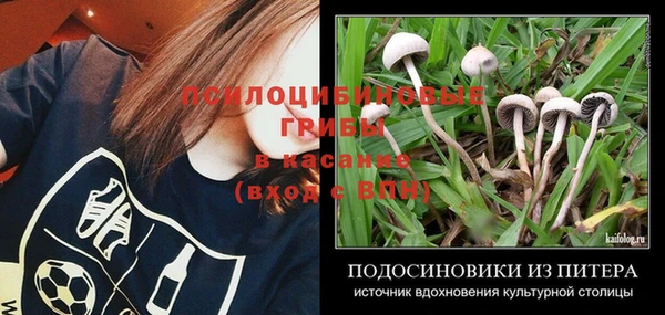 ГАЛЛЮЦИНОГЕННЫЕ ГРИБЫ Алексеевка