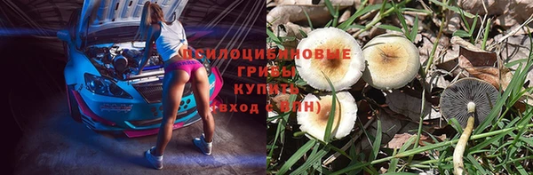 apvp Абинск