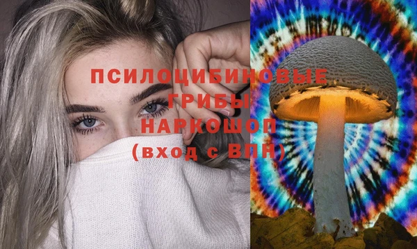 герыч Алзамай