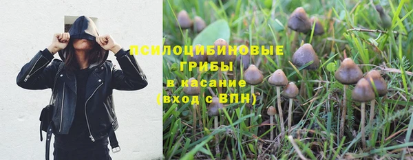 герыч Алзамай
